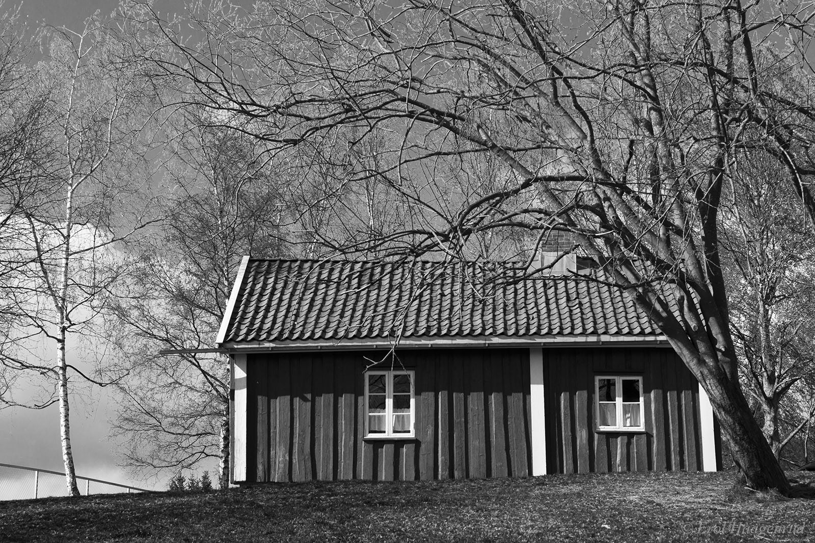 Old Voksen School (From the series: The Dull Places)