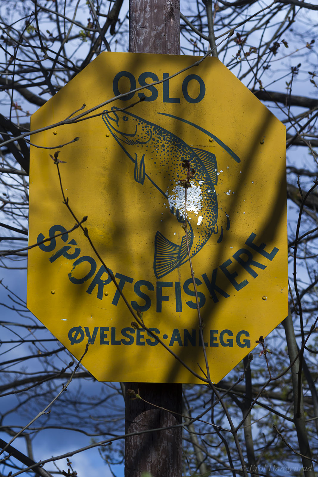 Oslo Sportfiskere (From the series: The Dull Places)