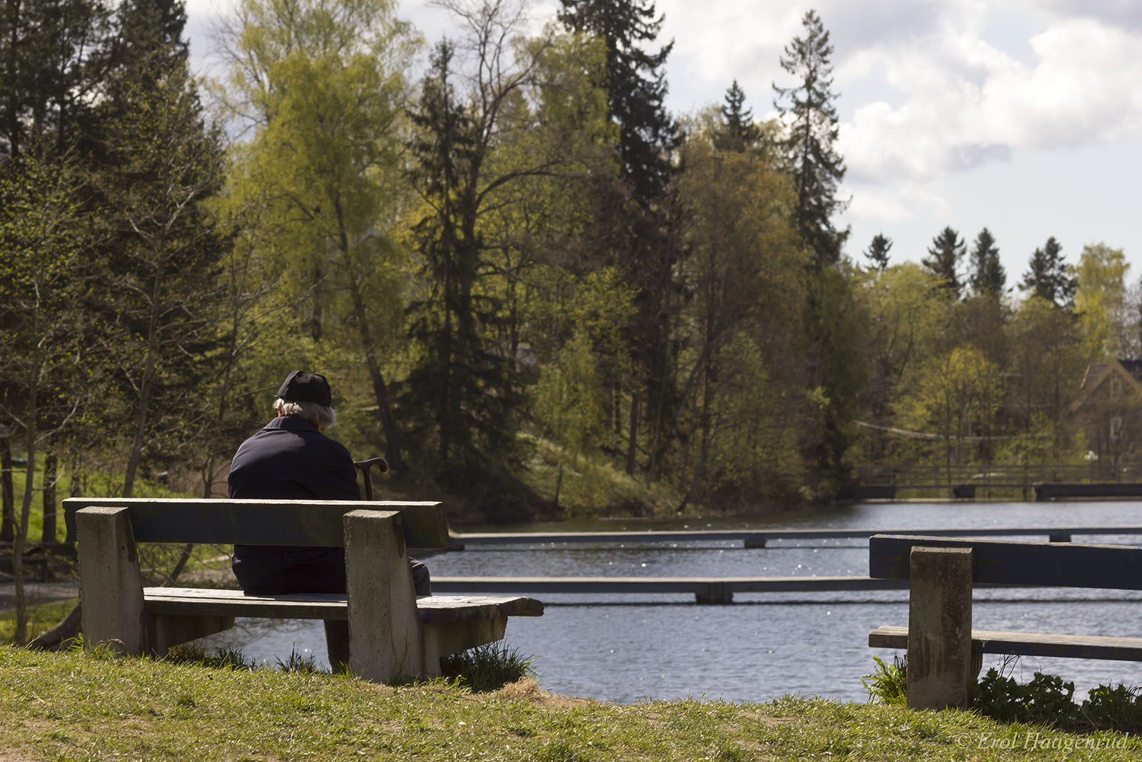 The Bench (From the series: The Dull Places)