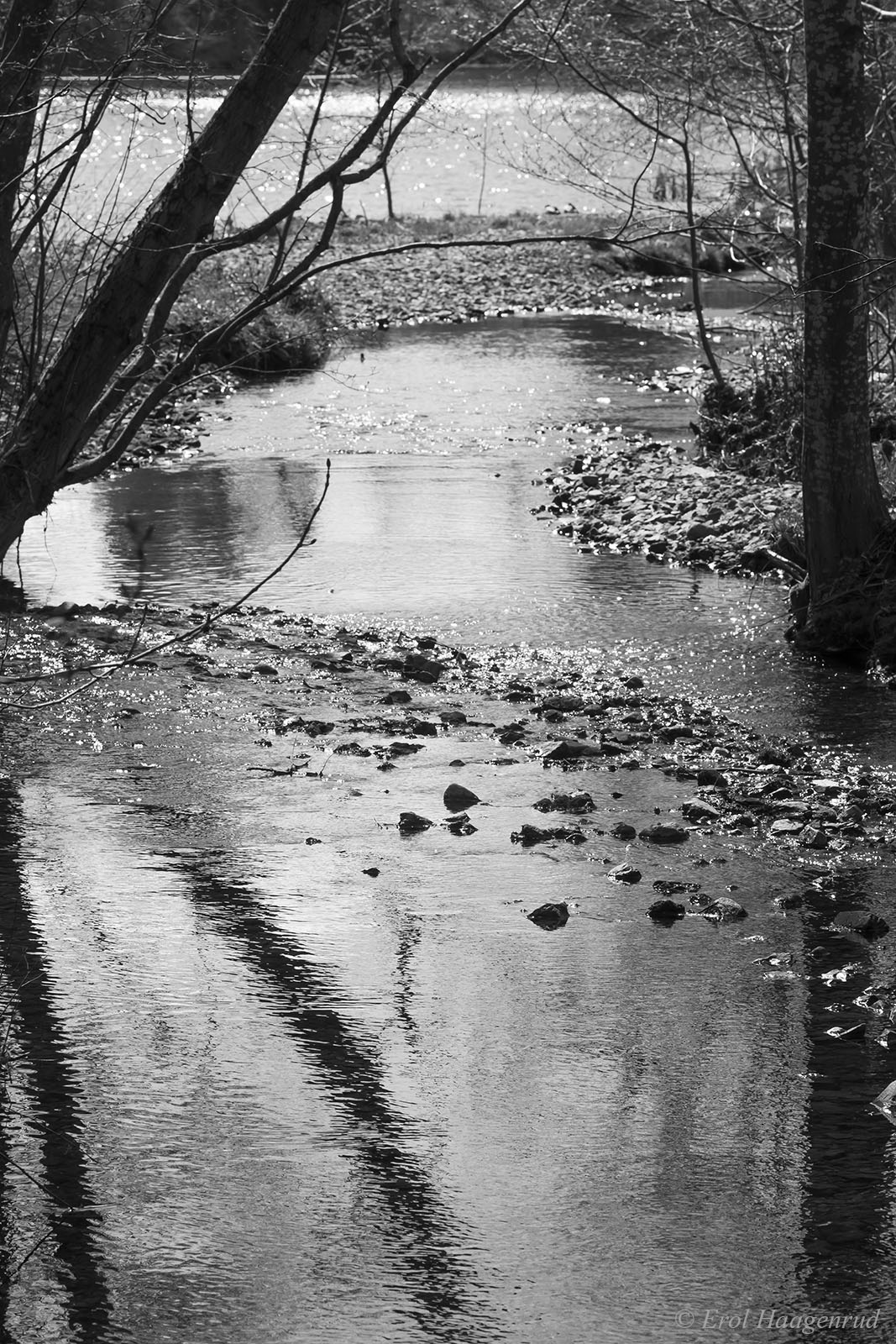 The Creek (From the series: The Dull Places)