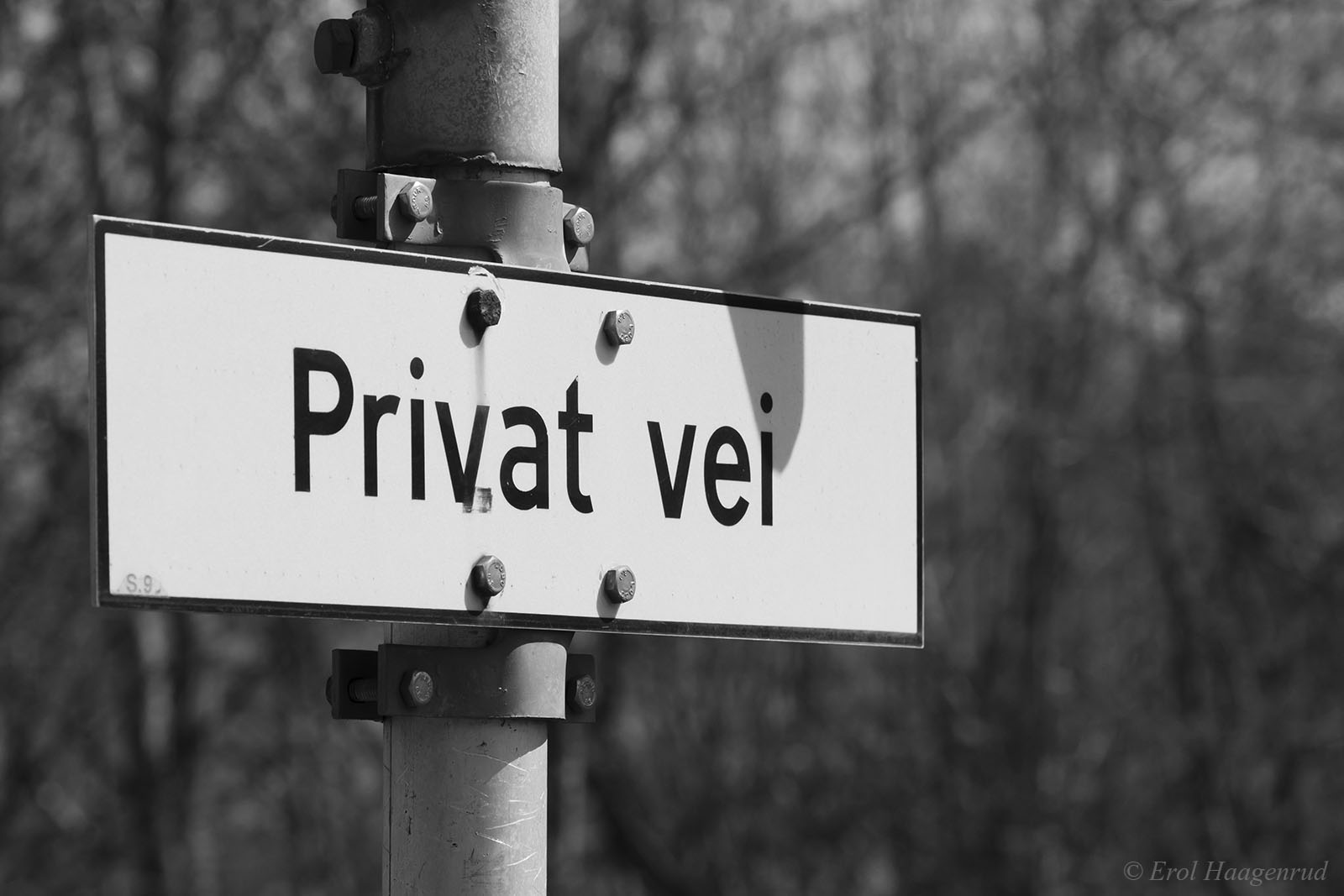 Private (From the series: The Dull Places)