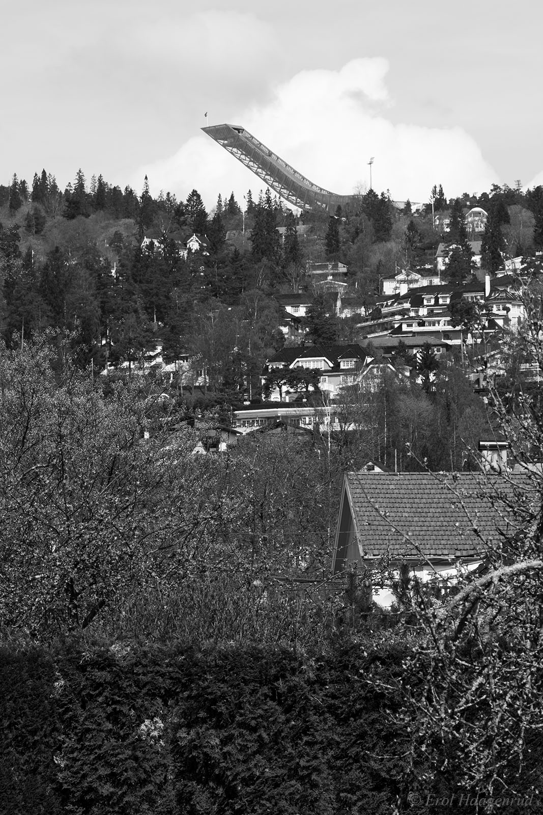 The Pride of Oslo (From the series: The Dull Places)